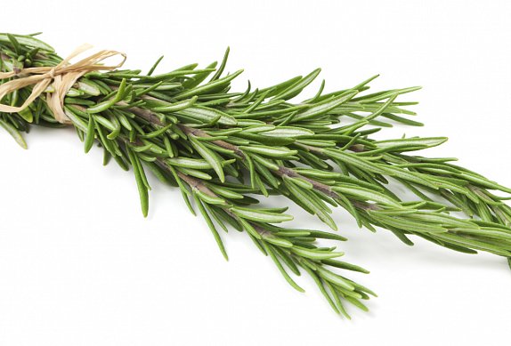 Sirup proti nachlazení